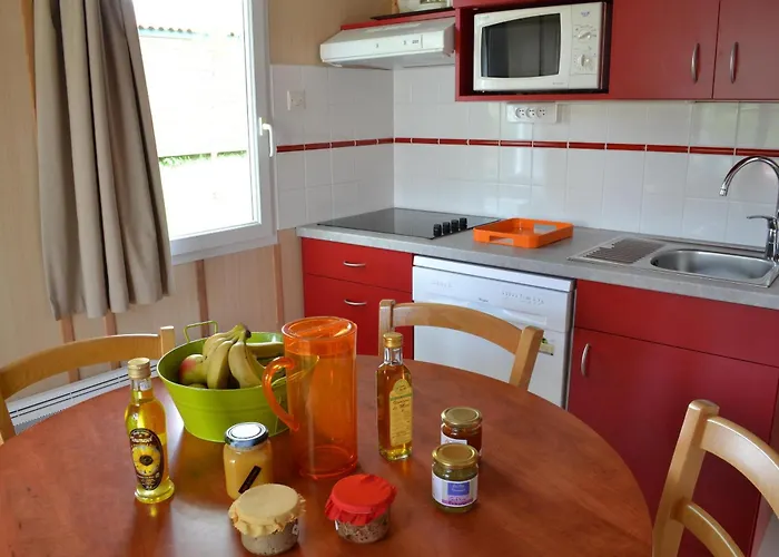 Vvf Vienne Poitou Holiday park La Bussiere (Vienne)